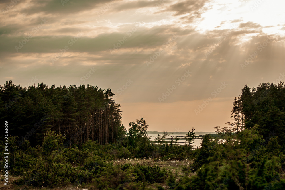 Fototapeta premium Through the many clouds, the sun shone golden yellow in the evening. The sun's rays shine through the clouds on the sea shore in Hiiumaa, Estonia with green trees.