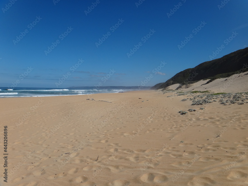 beach and sea