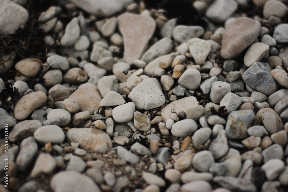 Pebbles on the beach with focus in the center of the frame and blur closer and further away Pebbles on the beach with focus in the center of the frame and blur closer and further away