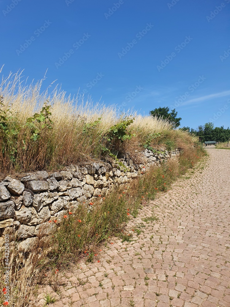 Fototapeta premium path to the sky