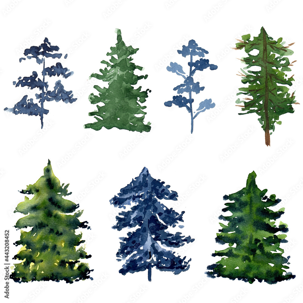 Fototapeta premium Watercolor pine tree set isolated on white.