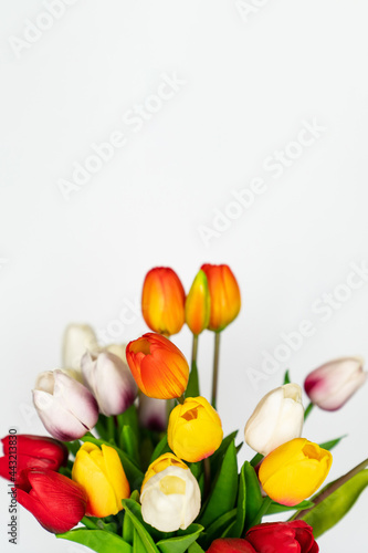 multicolored artificial tulips on a white background.