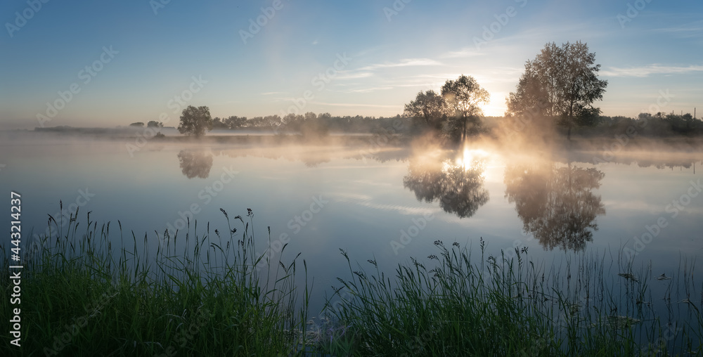daytime landscape with trees on the bank of the Ural river, Russia June daytime landscape with trees on the bank of the Ural river, Russia June