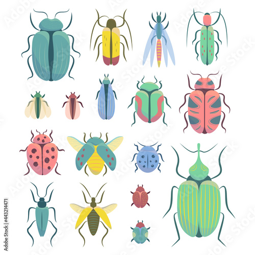 Collection of insects isolated on white background. Colorful vector set of beetles  © Елизавета Минеева