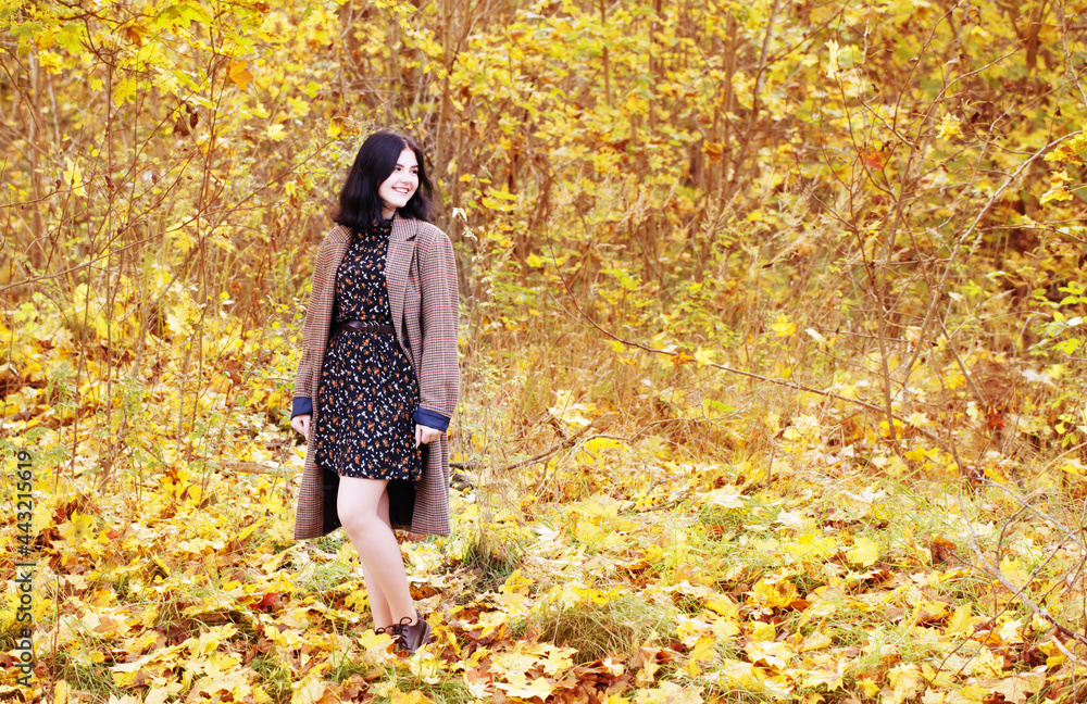 beautiful brunette girl in autumn park beautiful brunette girl in autumn park