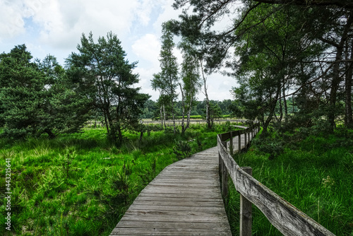 Moor und Holzsteg im Diersfordter Wald