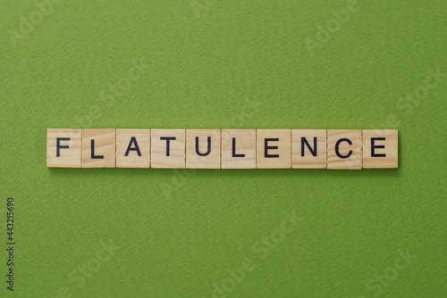 Slika na platnu gray word flatulence from small wooden letters on a green table
