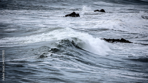 Beautiful dark dramatic ton...