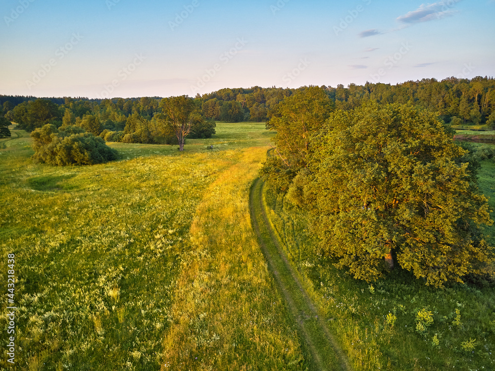 Aerial view of river in green meadows, beautiful sunset light.