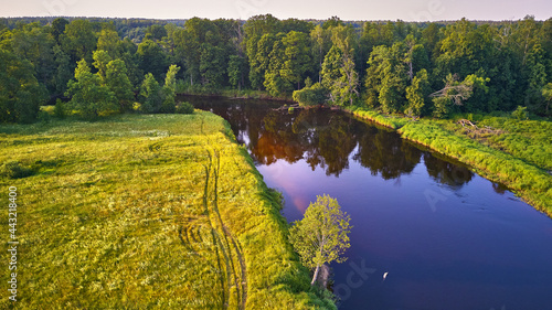 Obraz na płótnie Aerial view of river in green meadows, beautiful sunset light. Evening panorama. Birch trees on riverbank. w salonie