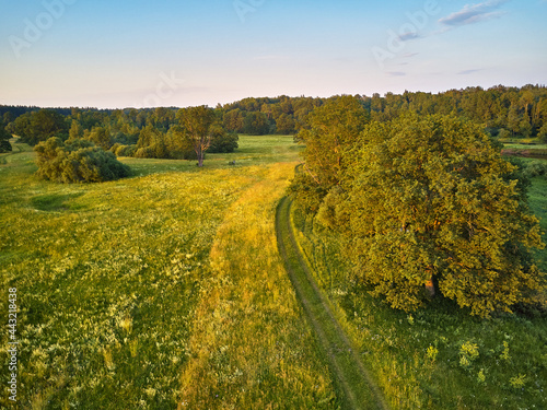 Obraz na płótnie Aerial view of river in green meadows, beautiful sunset light. w salonie