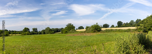 View over a green meadow