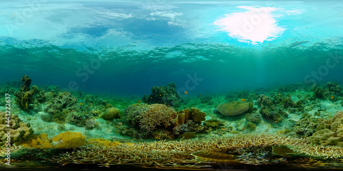 Tropical fishes and coral reef underwater. Hard and soft corals, underwater landscape. Philippines. Virtual Reality 360.