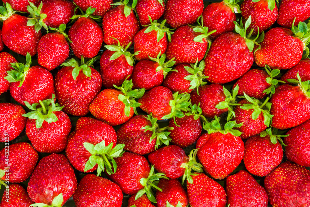 Background from fresh ripe strawberries close up Background from fresh ripe strawberries close up