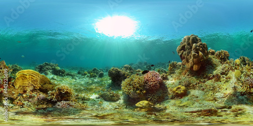 Fototapeta Naklejka Na Ścianę i Meble -  Coral reef underwater with fishes and marine life. Coral reef and tropical fish. Philippines. Virtual Reality 360.
