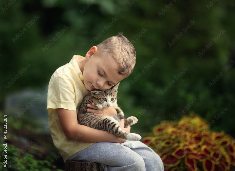 little child playing with a cat little child playing with a cat