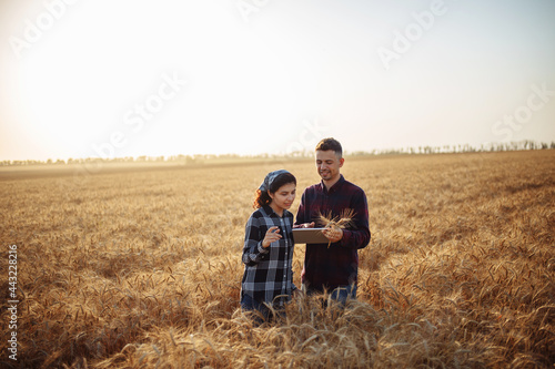 Two farmers are discussing the harvest in the field. Man and woman stand with tablet in the middle of the ripe golden wheat field checking the crop quality. Rural and agricultural concept.