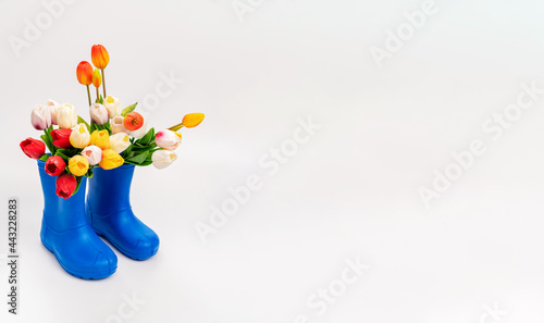 blue rubber boots with multicolored tulips on a white background.