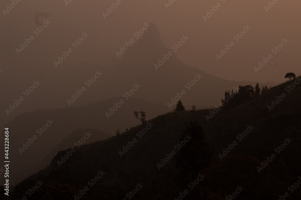View of rangaswamy peek in kodanadu in the early morning and clouds passing top of the peek View of rangaswamy peek in kodanadu in the early morning and clouds passing top of the peek