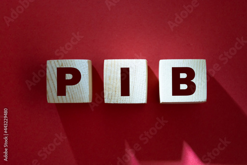 Word PIB. Wooden small cubes with letters isolated on red background with copy space available. Business Concept image. photo