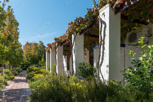 Building, with vine on trellis, and a path at Lourensford photo