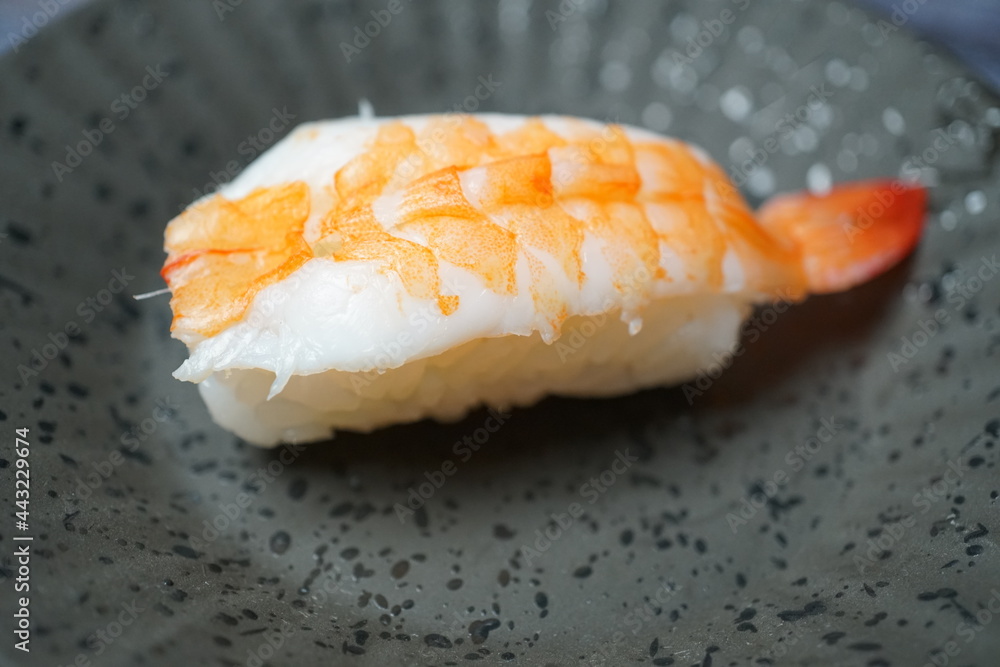 寿司 / 甘エビ 寿司 / 甘エビ