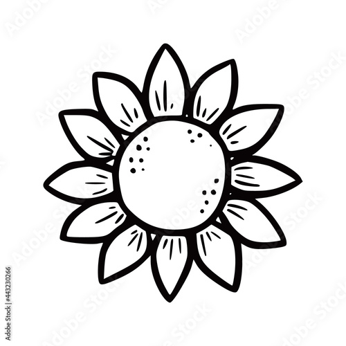 Hand drawn garden sunflower. Doodle sketch style. Drawing line simple sunflower. Isolated vector illustration.