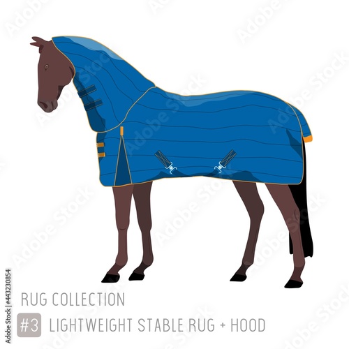Lightweight Stable Rug with Hood on Bay Horse