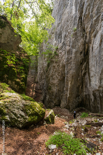 Falaises près de la grotte