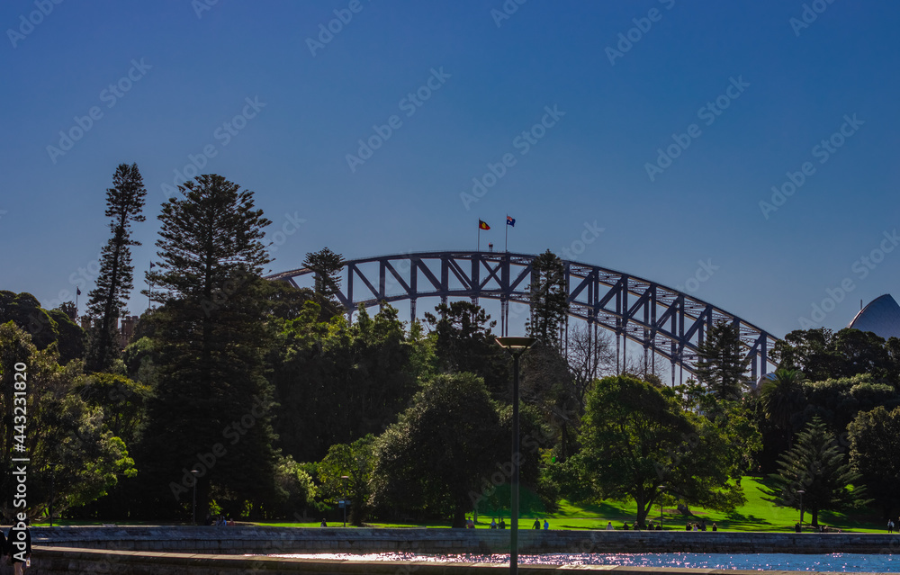 Fototapeta premium Sydney Harbour Australia on a sunny clear blue sky day with the turquoise colours of the bay and high rise offices of the City in the background