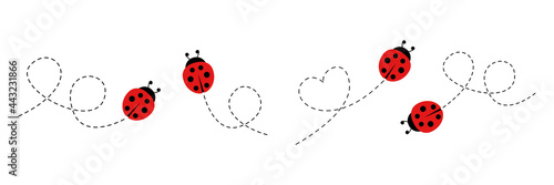 Stampa su tela Cartoon ladybug icon set