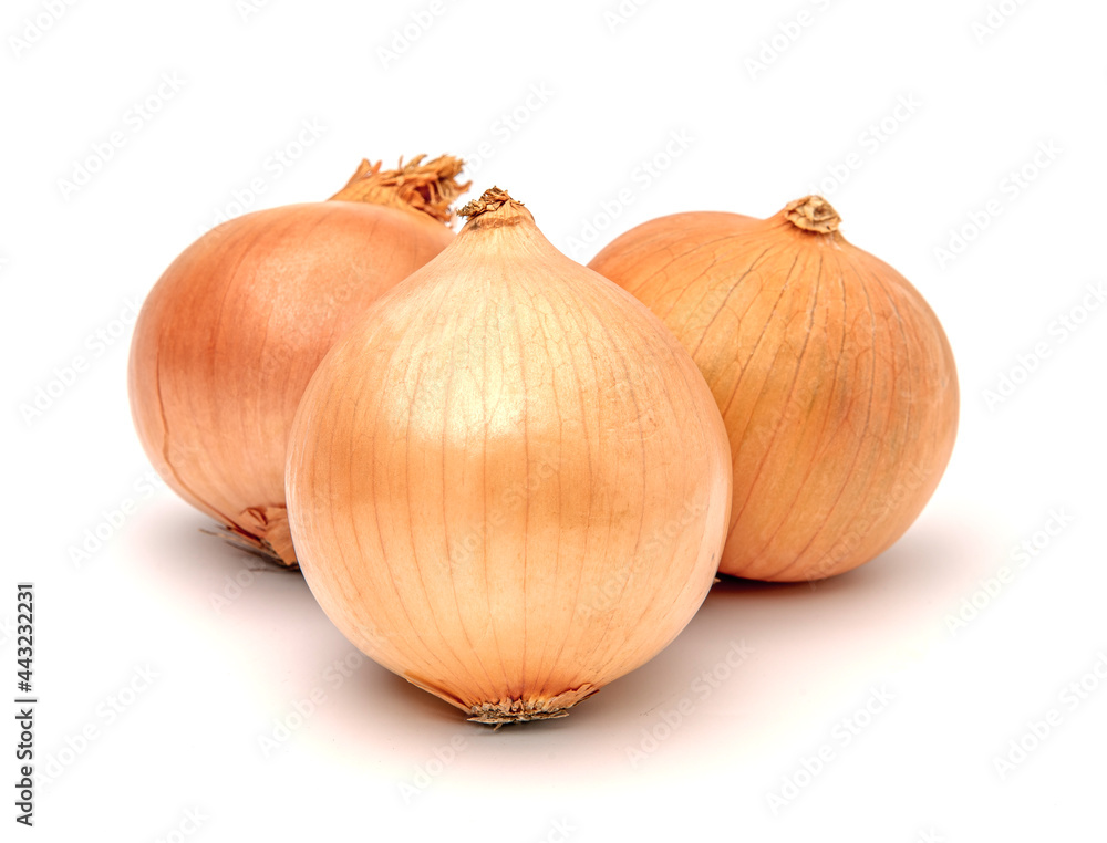 Fototapeta premium Fresh Raw Bulb Onions isolated on a white background.