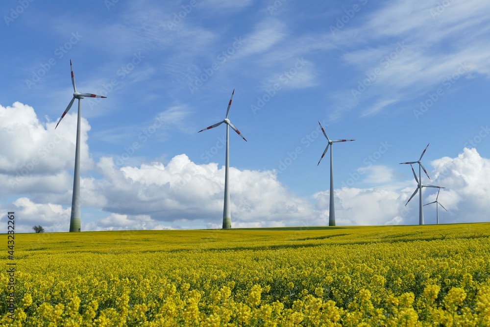 wind turbines in the field wind turbines in the field