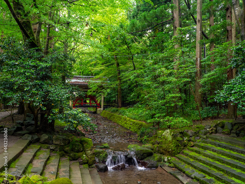 Photography Bridge for god in a shrine (Yahiko shrine, Yahiko, Niigata, Japan)