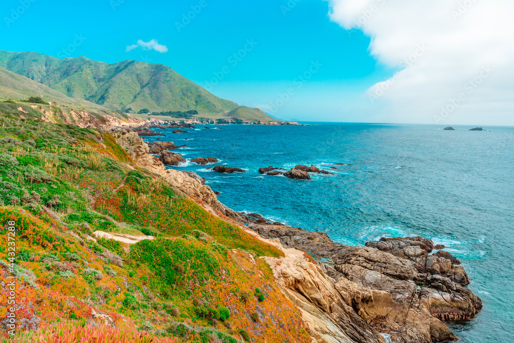  Spectacular panoramic landscape of the west coast of California with views of the Pacific Ocean and the cliffs . Coast along the Pacific Coast Highway