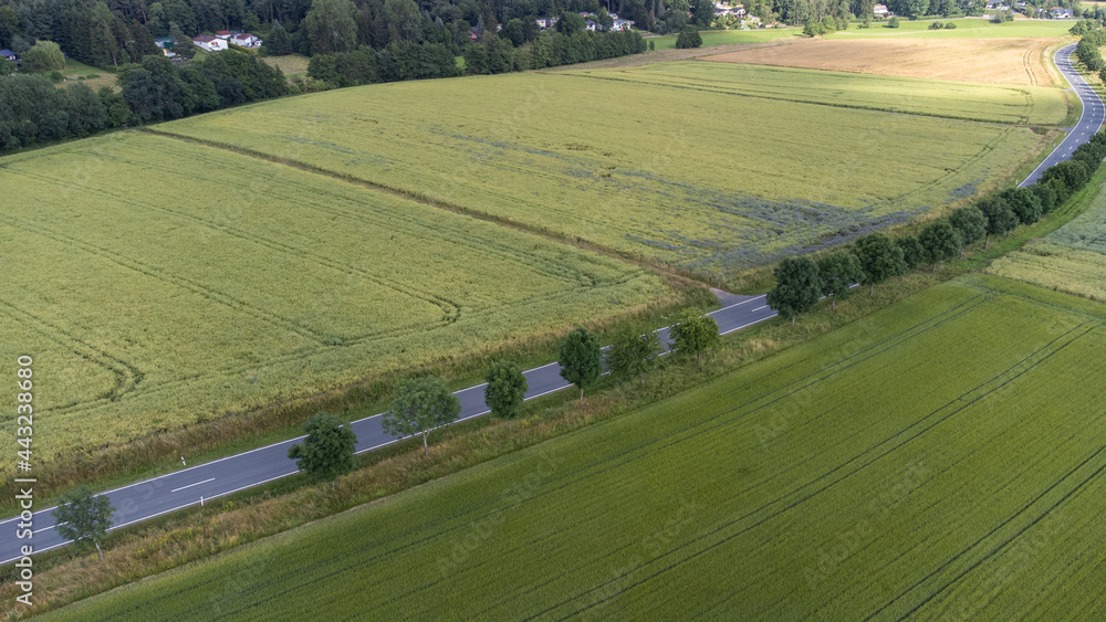 Drone Aerial Shot over Fields