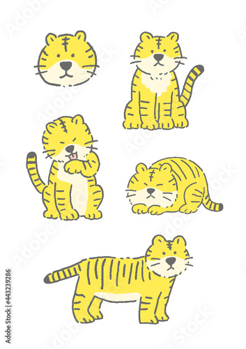 年賀状　ゆるくてかわいい虎のイラストレーションセット
