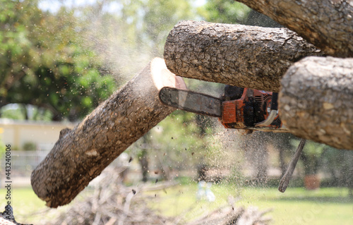 Closeup of timber cutting by chain-saw using by lumberman,