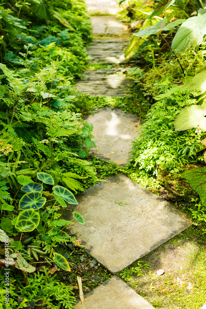 walkways in tropical garden style