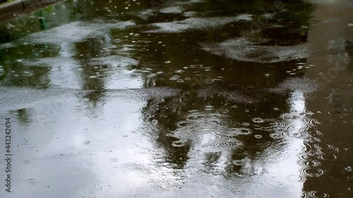 Raindrops fall in puddles on the asphalt, puddles on the sidewalk, splashes of rain in the afternoon in summer. High quality FullHD footage