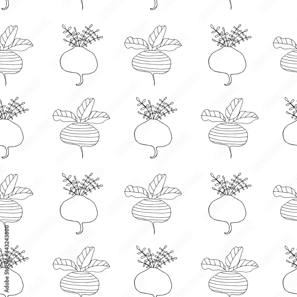 Vector illustration. Doodle sketch of beetroot. Vector illustration. Doodle sketch of beetroot.