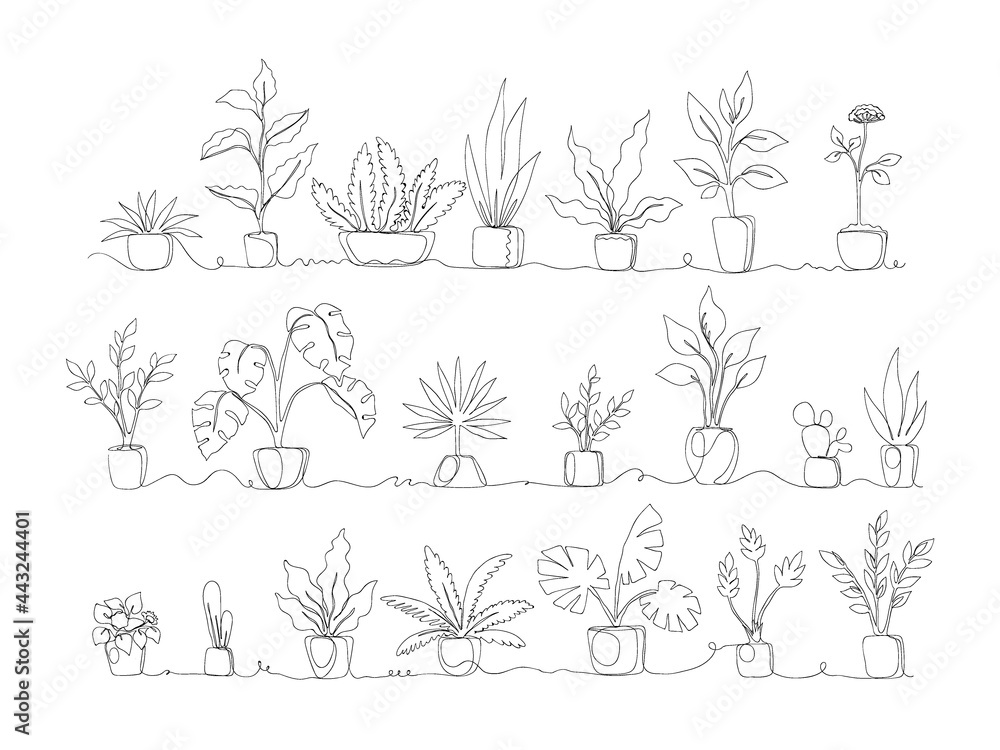 One line. Home plants. Continuous monoline pots with tropical greenery and  exotic decorative palms. Black and white potted flowers set. Interior  decor. Vector houseplant collection Stock Vector | Adobe Stock