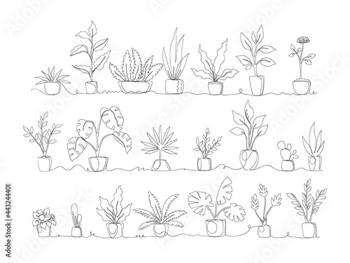 One line. Home plants. Continuous monoline pots with tropical greenery and exotic decorative palms. Black and white potted flowers set. Interior decor. Vector houseplant collection
