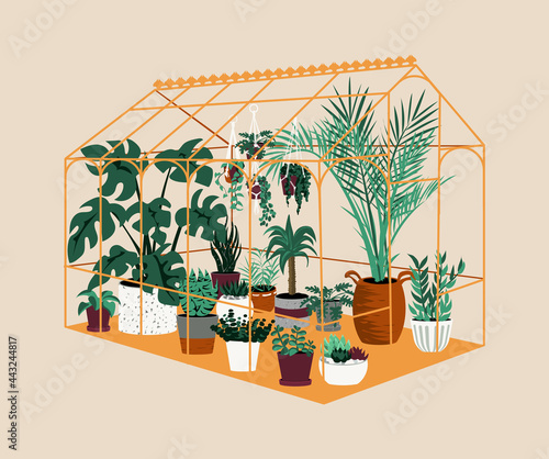 Greenhouse. Botanical house with exotic and home cultivated plants. Modern garden with decorative potted trees. Tropical palms grow in hothouse. Vector cartoon orangery illustration