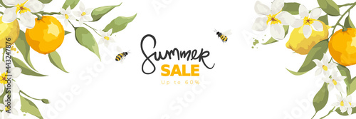 Banner with jasmine flowers, citrus branch and bees. Background, vector illustration for summer sale.