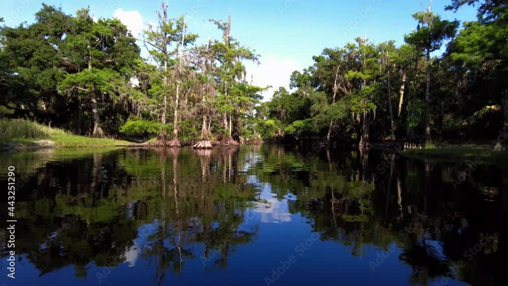 Kayaking on Fisheating Creek, Florida on calm sunny summer afternoon 4K. Kayaking on Fisheating Creek, Florida on calm sunny summer afternoon 4K.
