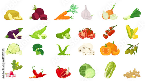 Vector vegetables icons set in cartoon flat style. Collection farm product for restaurant menu, market label.