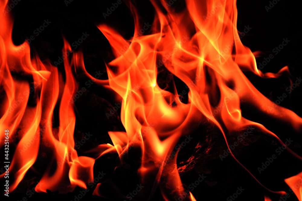 Fototapeta premium flames on a black background.