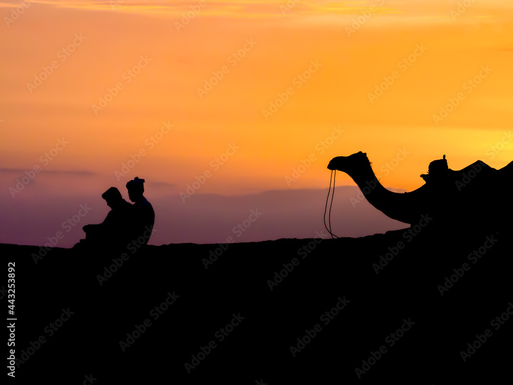 Impressive silhouette of a dromedary and its owner in the Thar desert at dusk, Rajasthan, India
