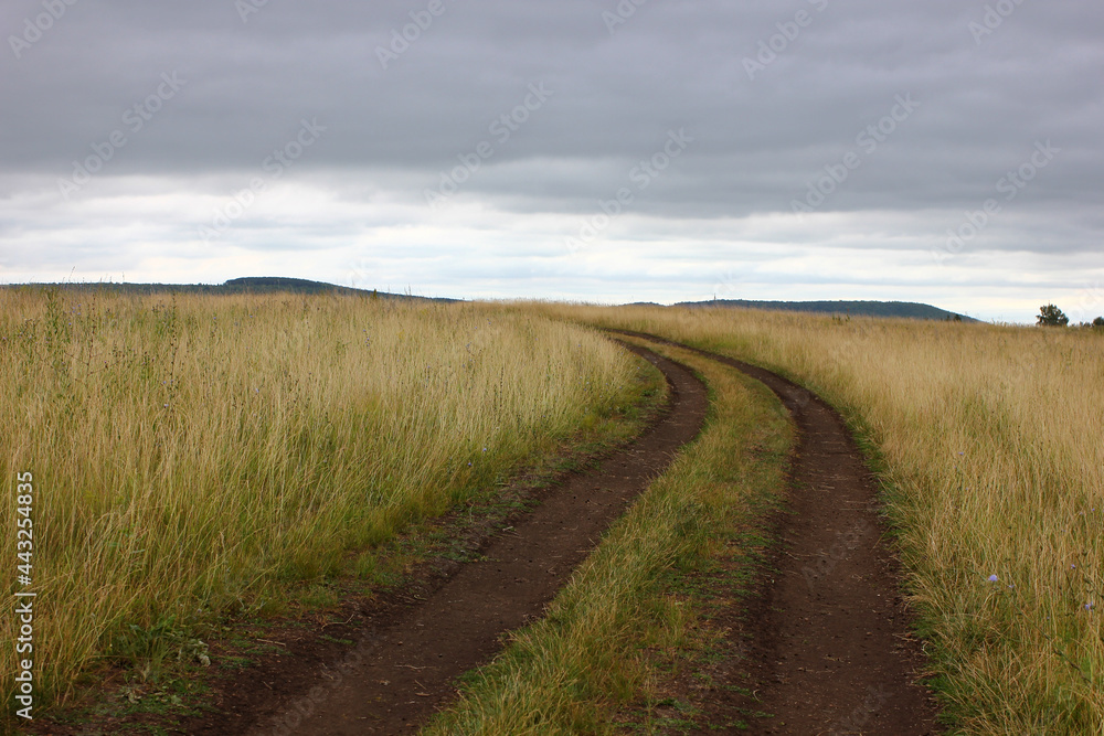 a dirt road in a field that goes beyond the horizon